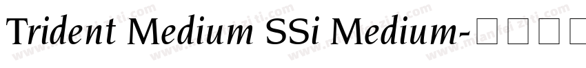Trident Medium SSi Medium字体转换